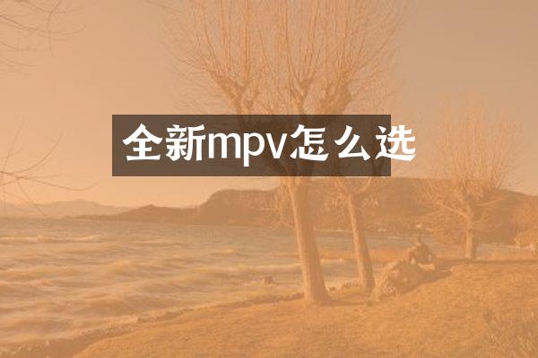 全新mpv怎么选