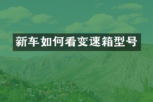 新车如何看变速箱型号