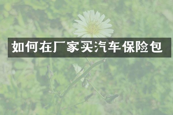 如何在厂家买汽车保险包