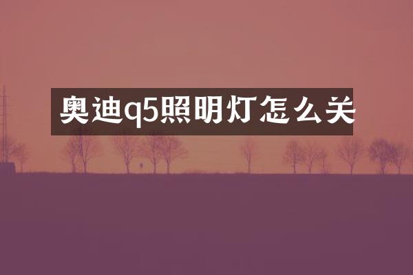 奥迪q5照明灯怎么关