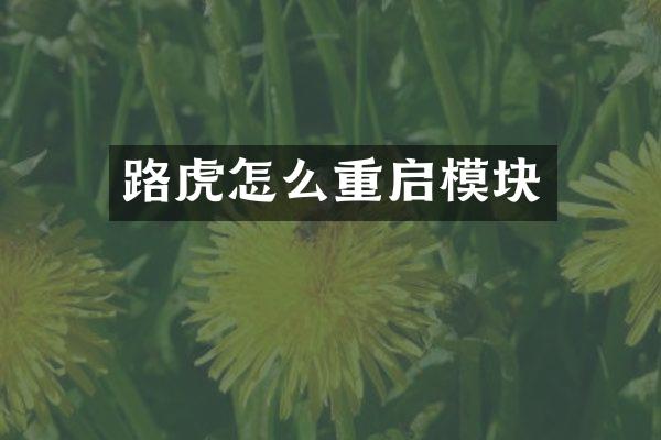 路虎怎么重启模块