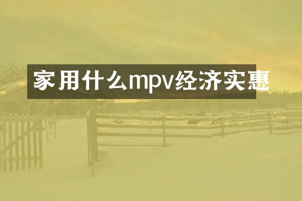 家用什么mpv经济实惠