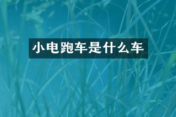 小电跑车是什么车