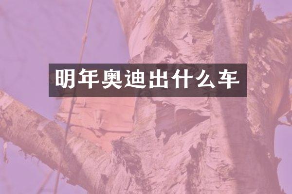 明年奥迪出什么车