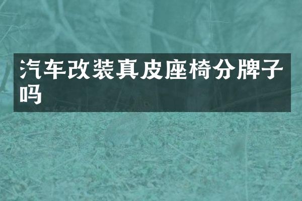 汽车改装真皮座椅分牌子吗