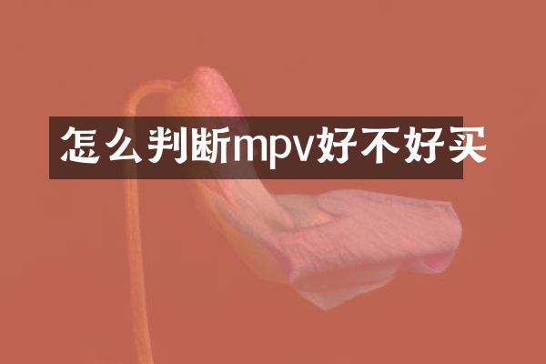 怎么判断mpv好不好买