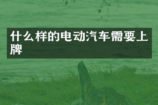 什么样的电动汽车需要上牌