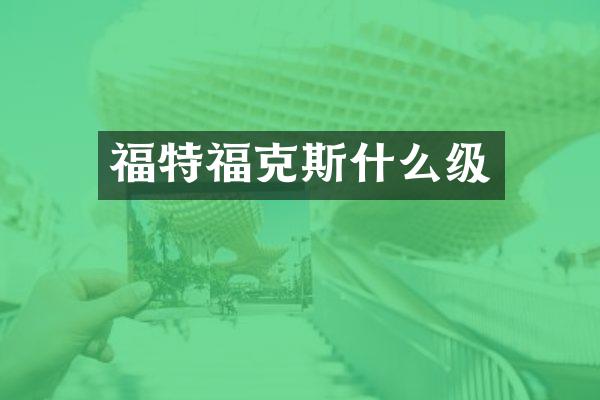 福特福克斯什么级