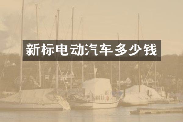 新标电动汽车多少钱