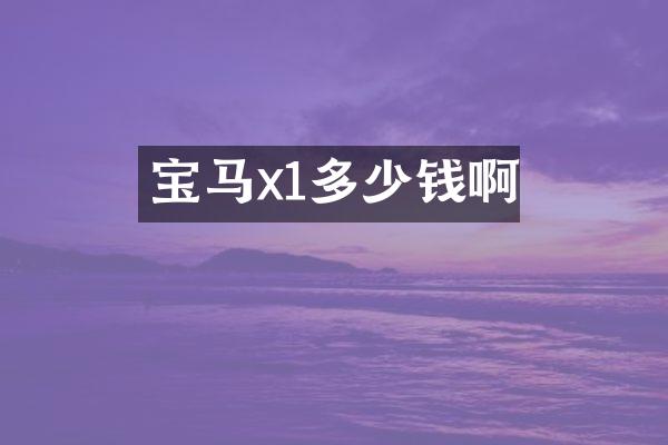 宝马x1多少钱啊