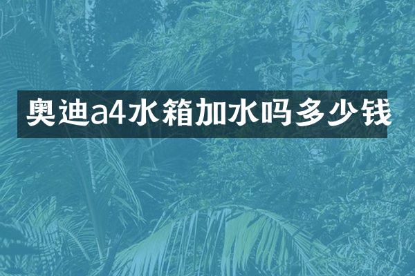 奥迪a4水箱加水吗多少钱