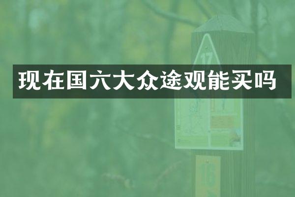 现在国六大众途观能买吗