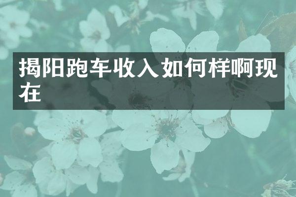 揭阳跑车收入如何样啊现在