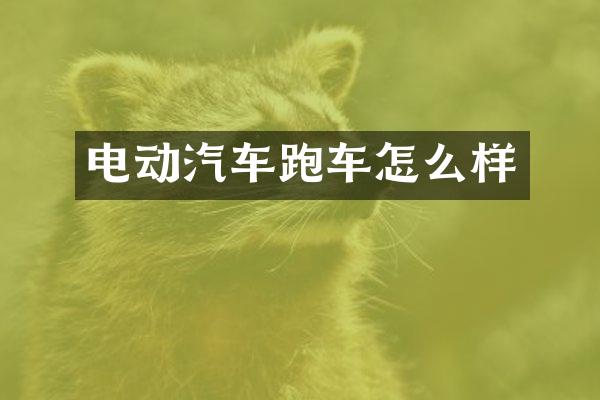 电动汽车跑车怎么样