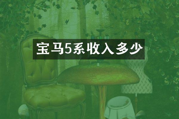 宝马5系收入多少