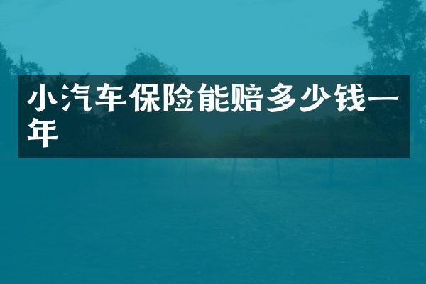 小汽车保险能赔多少钱一年