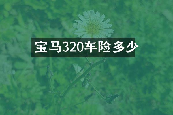 宝马320车险多少