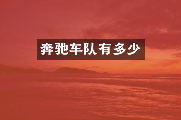 奔驰车队有多少