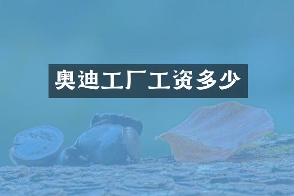 奥迪工厂工资多少