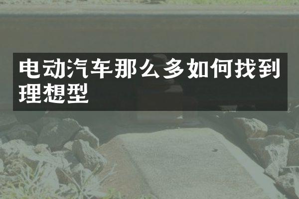电动汽车那么多如何找到理想型