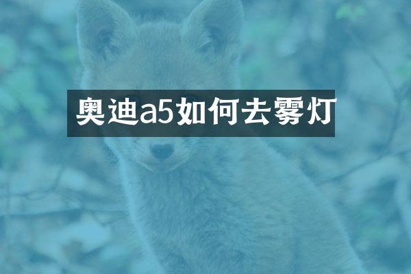 奥迪a5如何去雾灯