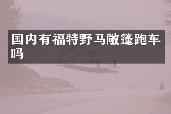 国内有福特野马敞篷跑车吗
