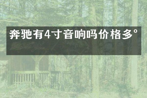 奔驰有4寸音响吗价格多少
