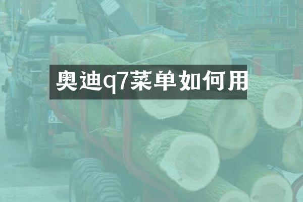 奥迪q7菜单如何用