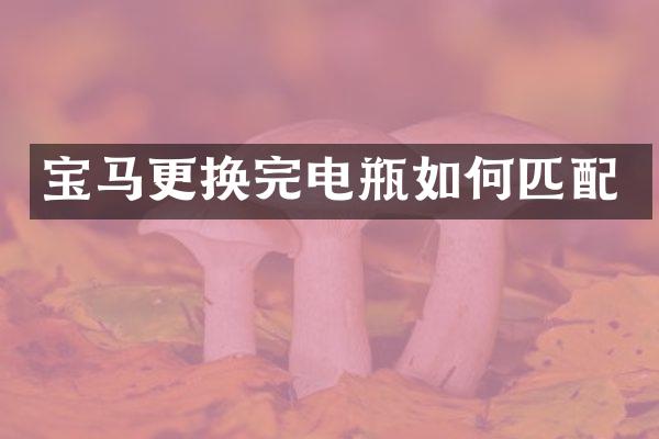 宝马更换完电瓶如何匹配
