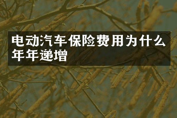电动汽车保险费用为什么年年递增