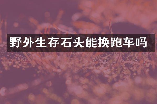 野外生存石头能换跑车吗