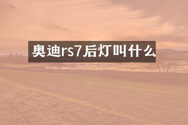 奥迪rs7后灯叫什么