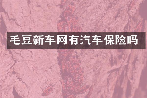 毛豆新车网有汽车保险吗