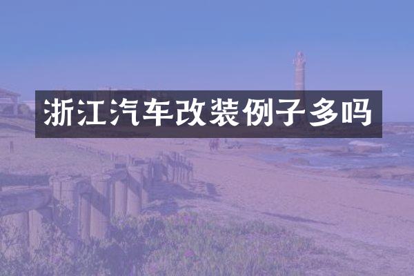 浙江汽车改装例子多吗