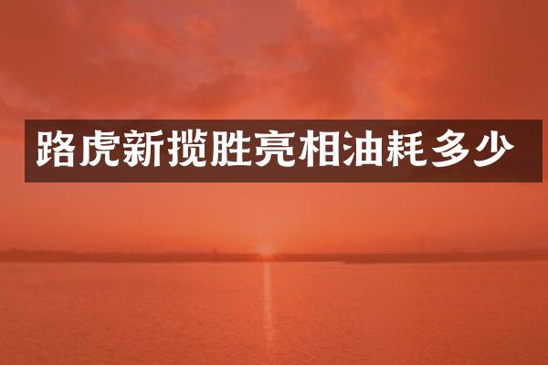 路虎新揽胜亮相油耗多少