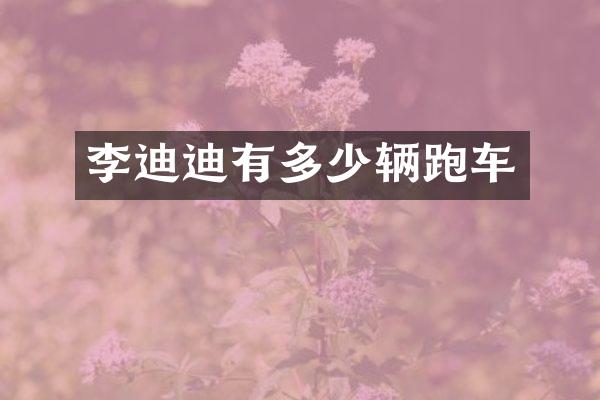 李迪迪有多少辆跑车