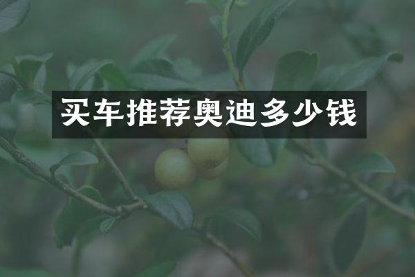 买车推荐奥迪多少钱