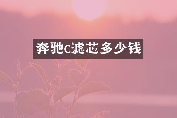 奔驰c滤芯多少钱
