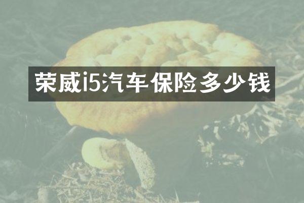 荣威i5汽车保险多少钱