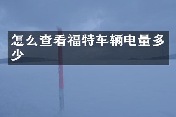 怎么查看福特车辆电量多少