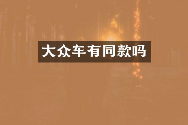 大众车有同款吗