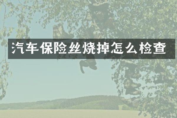 汽车保险丝烧掉怎么检查