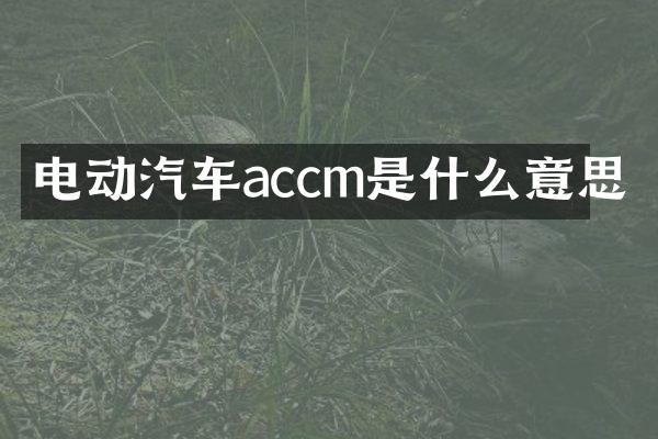 电动汽车accm是什么意思