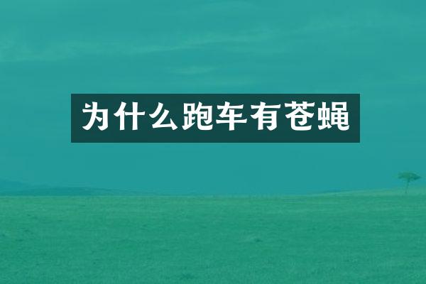 为什么跑车有苍蝇