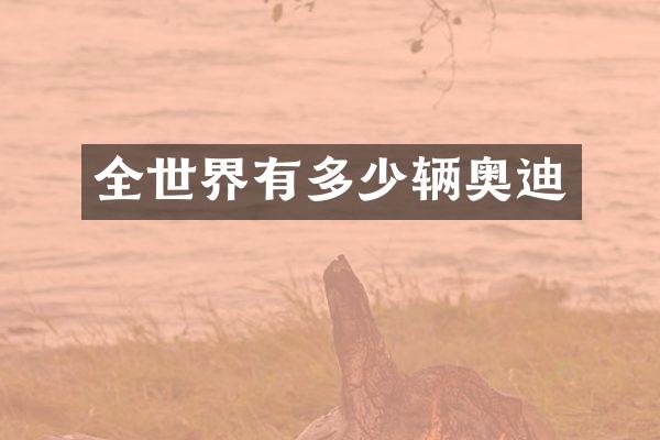 全世界有多少辆奥迪