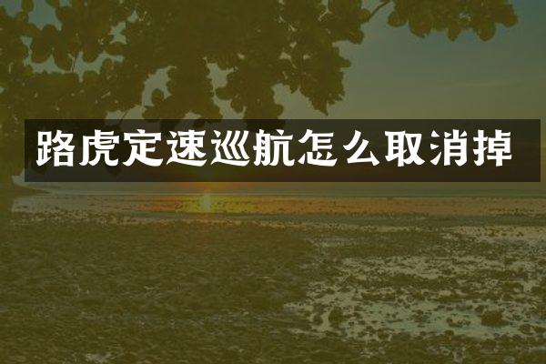 路虎定速巡航怎么取消掉