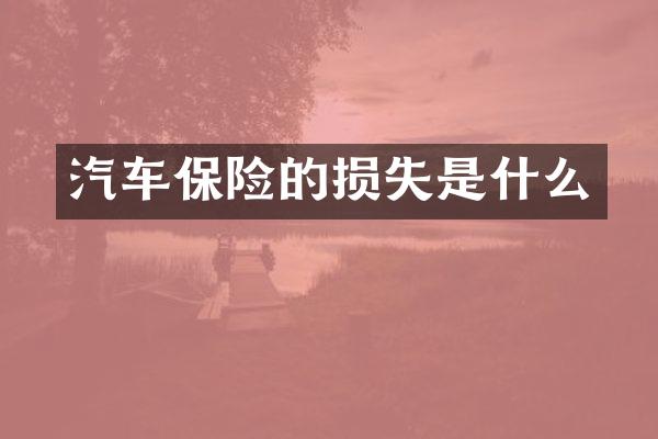 汽车保险的损失是什么