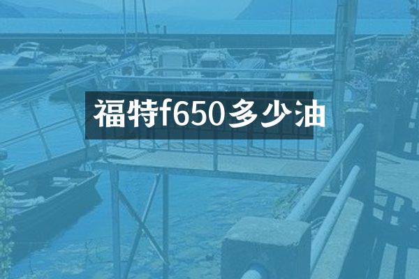 福特f650多少油