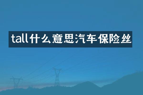 tall什么意思汽车保险丝