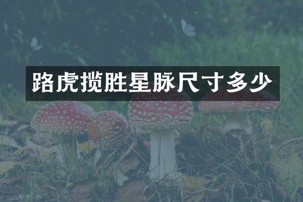 路虎揽胜星脉尺寸多少